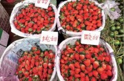 水莓100国产,探寻100国水莓种植奥秘